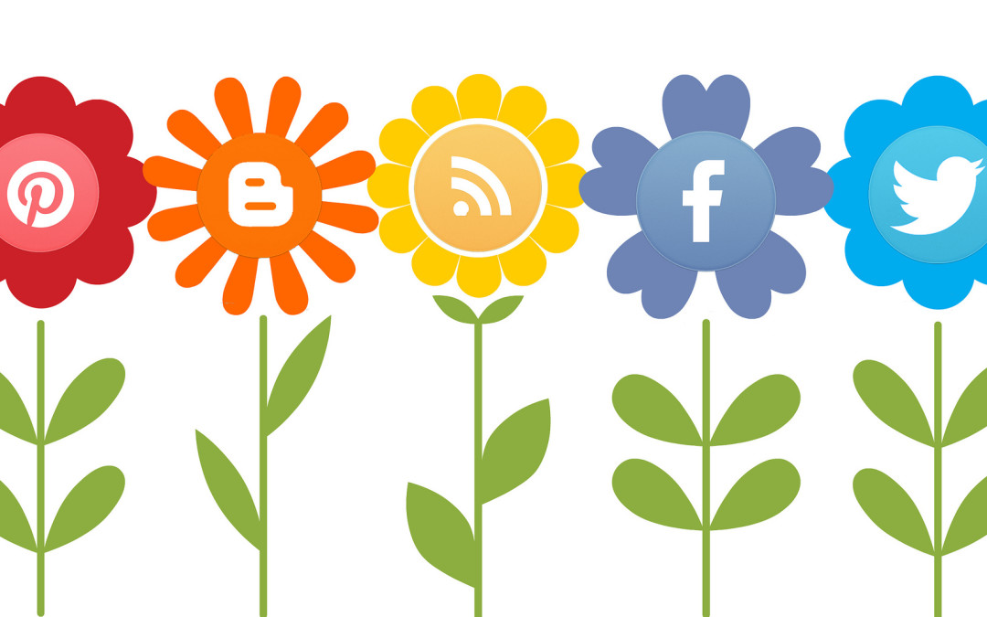 social media flowers